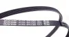 Ремень поликлиновой DAYCO 4PK1060 (фото 3)