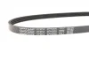 Ремень поликлиновой DAYCO 4PK690 (фото 3)