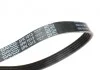 Ремень поликлиновой DAYCO 5PK1013HD (фото 2)