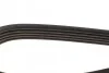 Ремень поликлиновой DAYCO 5PK1025 (фото 3)
