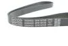 Ремінь П-клиновий DAYCO 5PK1072S (фото 4)