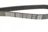 Ремінь П-клиновий DAYCO 5PK1200 (фото 3)