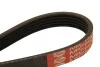 Ремень поликлиновой DAYCO 5PK1450 (фото 2)