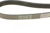 Ремінь DAYCO 5PK1500 (фото 3)