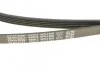 Ремінь DAYCO 5PK1500 (фото 4)