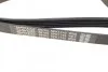 Ремень поликлиновой DAYCO 5PK1745 (фото 3)