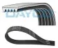 PASEK W/KLINOWY 5PK925S