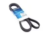 Дорожный пас 6DPK2217