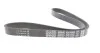 Ремінь генератора поліклиновий DAYCO 6PK1035S (фото 2)