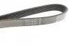 Ремень поликлиновой DAYCO 6PK1053 (фото 3)