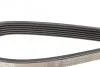 Ремень поликлиновой DAYCO 6PK1053 (фото 4)