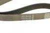 Ремень поликлиновой DAYCO 6PK1065 (фото 3)