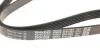 Ремень поликлиновой DAYCO 6PK1087 (фото 2)