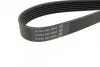 Ремень поликлиновой DAYCO 6PK1105 (фото 2)