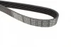 Ремень поликлиновой DAYCO 6PK1105 (фото 3)