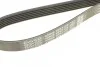 Ремінь П-клиновий DAYCO 6PK1115 (фото 4)