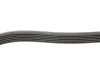 Ремень поликлиновой DAYCO 6PK1130 (фото 3)