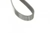 Ремень поликлиновой DAYCO 6PK1130 (фото 4)