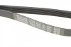 Ремень поликлиновой DAYCO 6PK1130 (фото 5)
