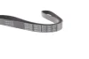 Поліклиновий ремінь (6PK1139) AUDI A4 ALLROAD B9, A4 B9, A5, A6 C8, A7, Q5 2.0/2.0H 05.17- DAYCO 6PK1139H (фото 4)
