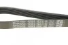 Дорожный пас DAYCO 6PK1145 (фото 4)