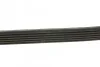 Ремень поликлиновой DAYCO 6PK1152 (фото 2)
