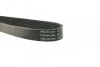 Ремень поликлиновой DAYCO 6PK1152 (фото 3)