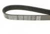 Ремень поликлиновой DAYCO 6PK1152 (фото 4)