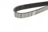 Ремень поликлиновой DAYCO 6PK1160 (фото 3)