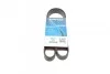 Ремінь 6PK1165