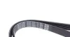 Ремень поликлиновой DAYCO 6PK1173 (фото 3)