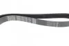 Ремень поликлиновой DAYCO 6PK1180 (фото 2)