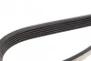 Ремень поликлиновой DAYCO 6PK1180 (фото 3)