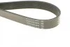 Ремень поликлиновой DAYCO 6PK1200 (фото 3)