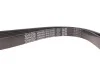 Ремень поликлиновый DAYCO 6PK1245DT (фото 4)