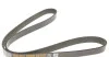 Ремень 6PK1255 усиленный FORD Fiesta 1,6 VOLVO S/V70 2,0-3,0 RENAULT Magnum DAYCO 6PK1255HD (фото 3)