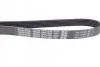 Ремень поликлиновой DAYCO 6PK1260 (фото 2)