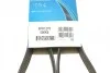 Ремень поликлиновой DAYCO 6PK1270 (фото 6)