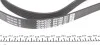 Ремень поликлиновой DAYCO 6PK1290 (фото 3)