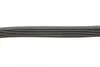 Ремень поликлиновой DAYCO 6PK1310 (фото 2)