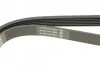 Ремень поликлиновой DAYCO 6PK1310 (фото 3)