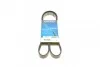 Ремінь П-клиновий 6PK1345 Dayco 6PK1345
