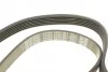 Ремень поликлиновой DAYCO 6PK1381 (фото 4)