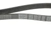 Ремень поликлиновой DAYCO 6PK1435 (фото 2)