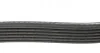 Доріжковий пас DAYCO 6PK1555S (фото 2)