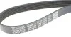Доріжковий пас DAYCO 6PK1555S (фото 4)