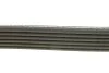 Ремень поликлиновой DAYCO 6PK1558 (фото 2)