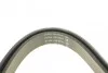 Ремень поликлиновой DAYCO 6PK1558 (фото 3)