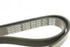Ремень поликлиновой DAYCO 6PK1558 (фото 4)