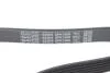 Ремень поликлиновой DAYCO 6PK1606 (фото 4)